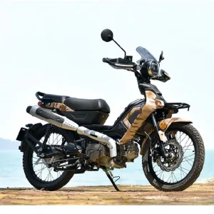 Aveta Ranger X Cub