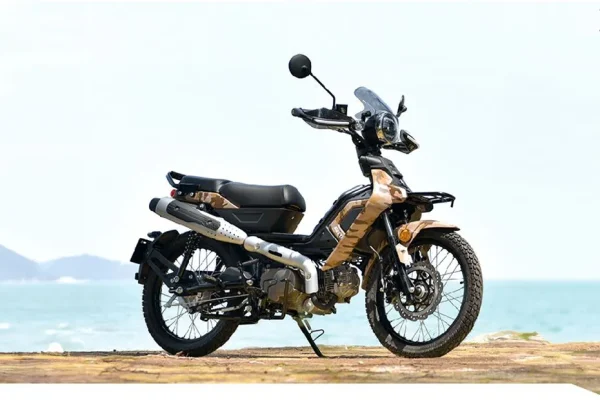 Aveta Ranger X Cub